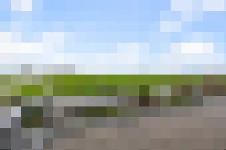 De Achterhoede 16 Wormer thumbnail 24