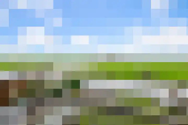 De Achterhoede 16 Wormer thumbnail 25