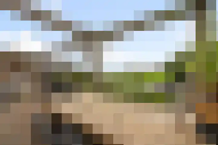 De Achterhoede 16 Wormer thumbnail 31