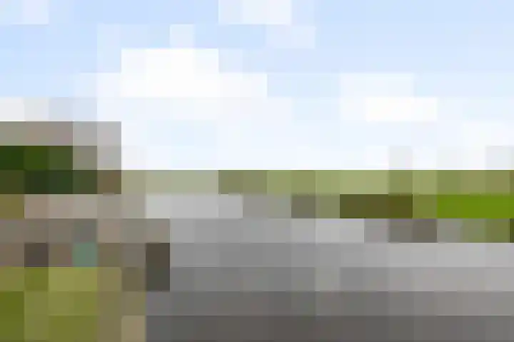 De Achterhoede 16 Wormer thumbnail 36