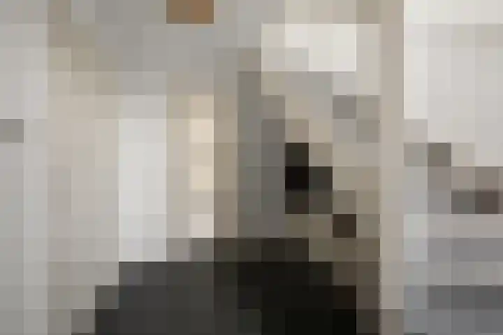 De Achterhoede 16 Wormer thumbnail 6