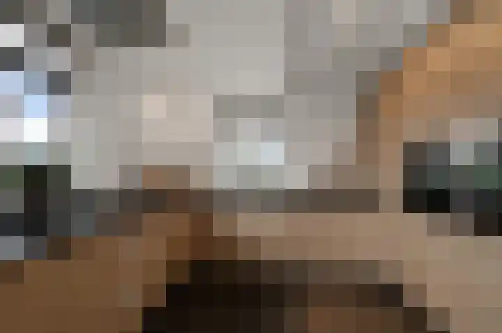De Achterhoede 16 Wormer thumbnail 7