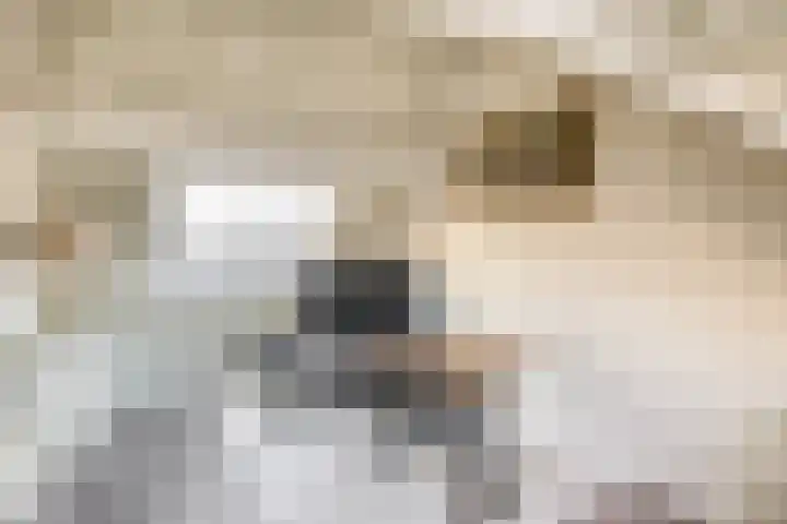 de Akker 105 Waddinxveen thumbnail 21
