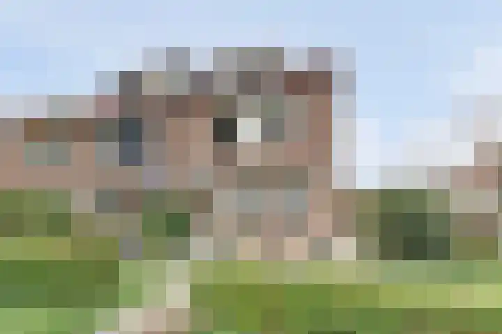 de Akker 60 Waddinxveen