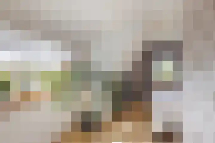 De Akker 7 Oudesluis thumbnail 25