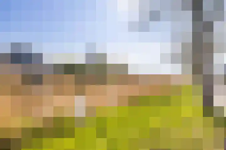 De Akker 7 Oudesluis thumbnail 49