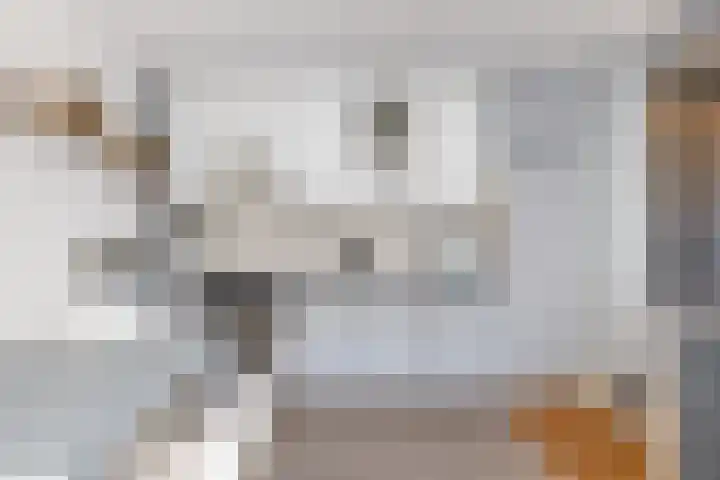 De Akker 7 Oudesluis thumbnail 7
