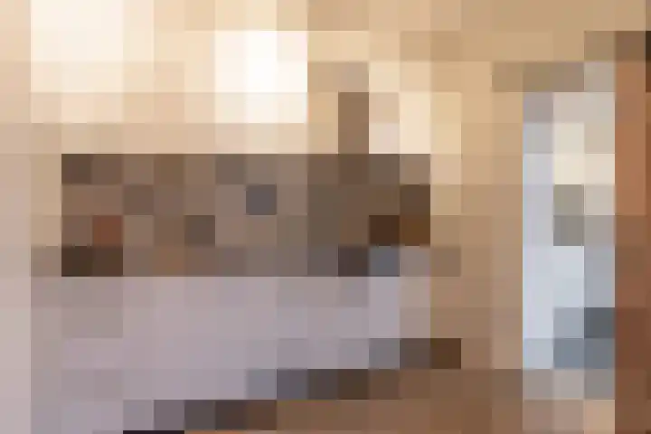 De Akkers 19 Diepenheim thumbnail 11