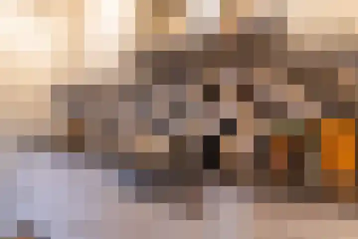 De Akkers 19 Diepenheim thumbnail 12