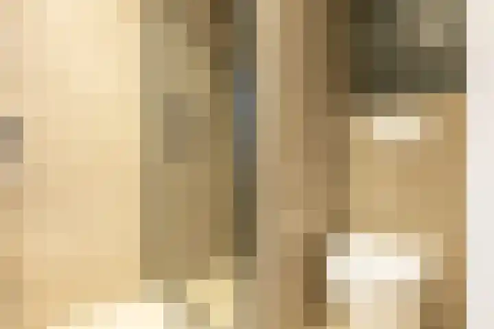 De Akkers 19 Diepenheim thumbnail 24
