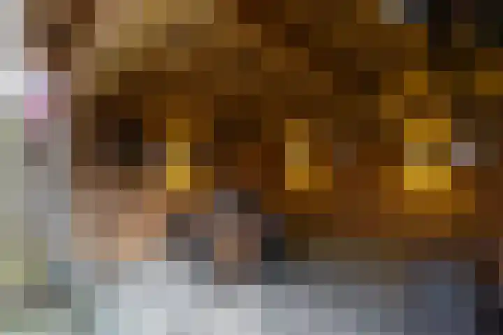 De Akkers 19 Diepenheim thumbnail 28