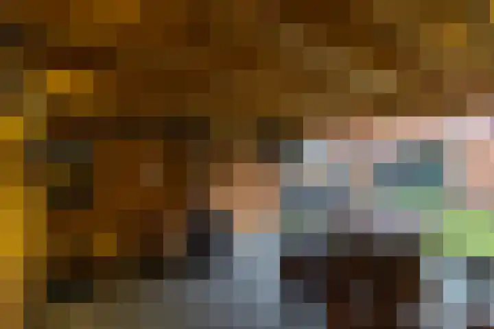 De Akkers 19 Diepenheim thumbnail 29