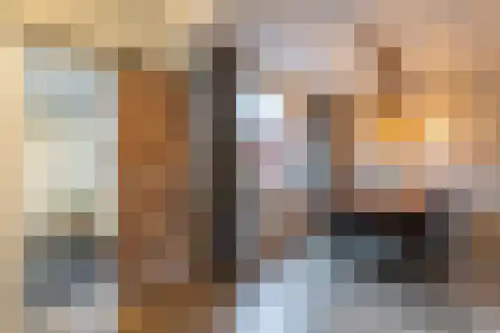 De Akkers 19 Diepenheim thumbnail 9