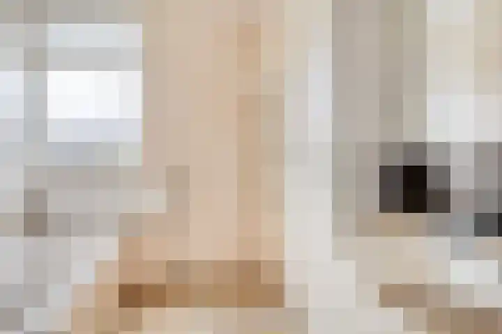 De Akkers 49 Muntendam thumbnail 33