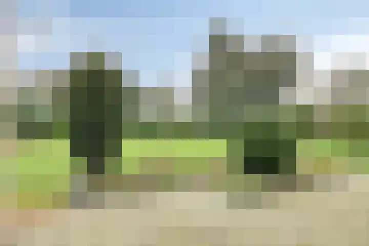 De Akkers 49 Muntendam thumbnail 44