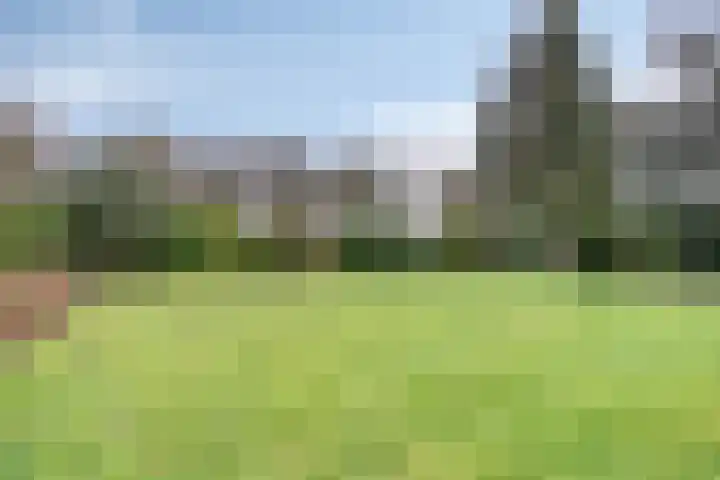 De Akkers 49 Muntendam thumbnail 47