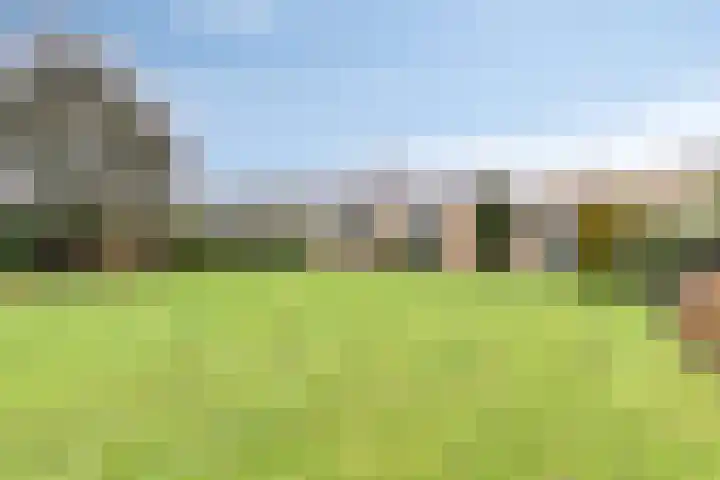 De Akkers 49 Muntendam thumbnail 48