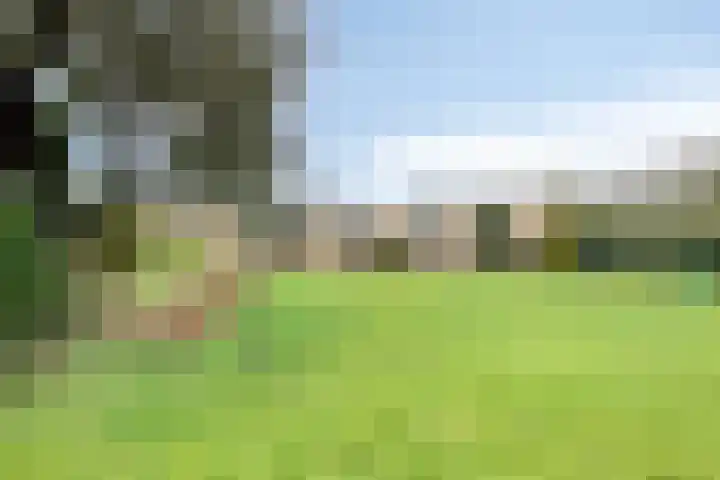 De Akkers 49 Muntendam thumbnail 50