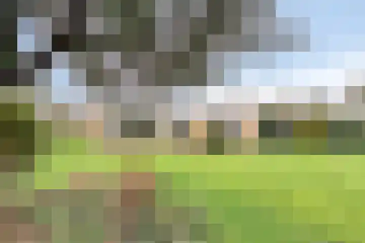 De Akkers 49 Muntendam thumbnail 51