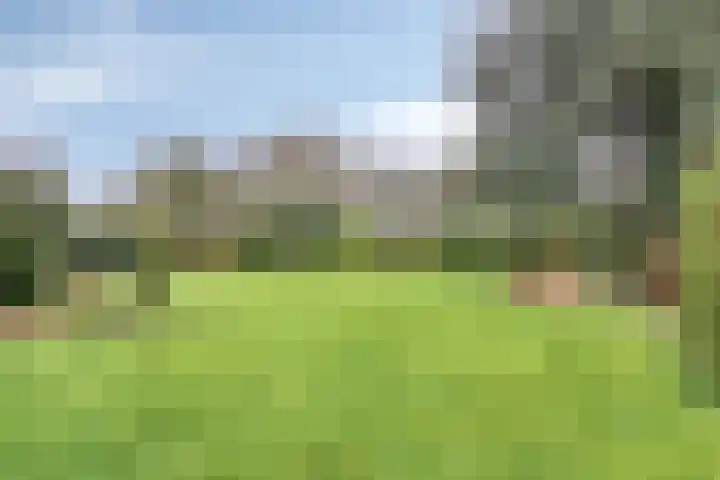De Akkers 49 Muntendam thumbnail 53