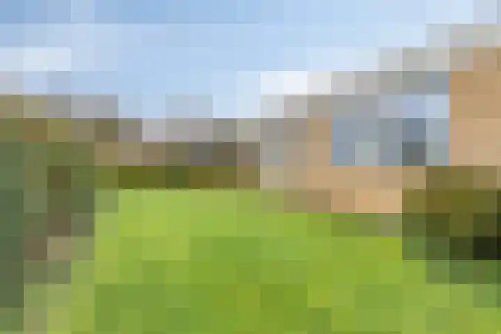 De Akkers 49 Muntendam thumbnail 54