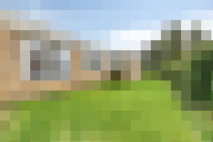De Akkers 49 Muntendam thumbnail 55