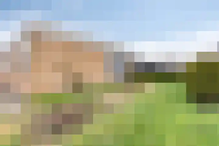 De Akkers 49 Muntendam thumbnail 57