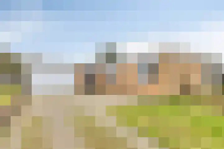 De Akkers 49 Muntendam thumbnail 7