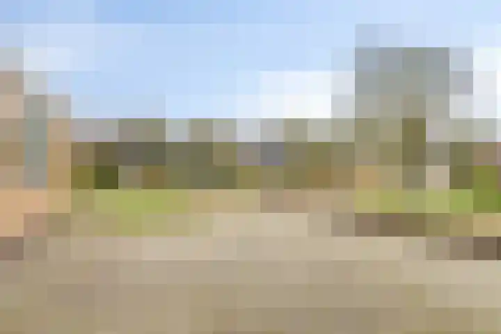 De Akkers 49 Muntendam thumbnail 8