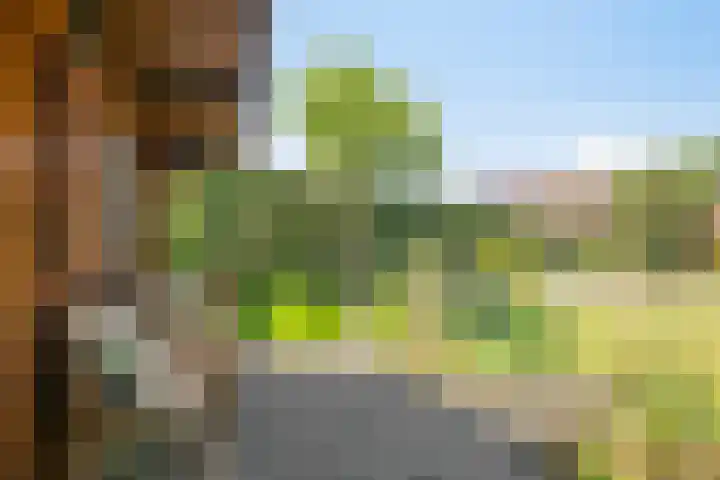 De Akkers 5 Ruinen thumbnail 24