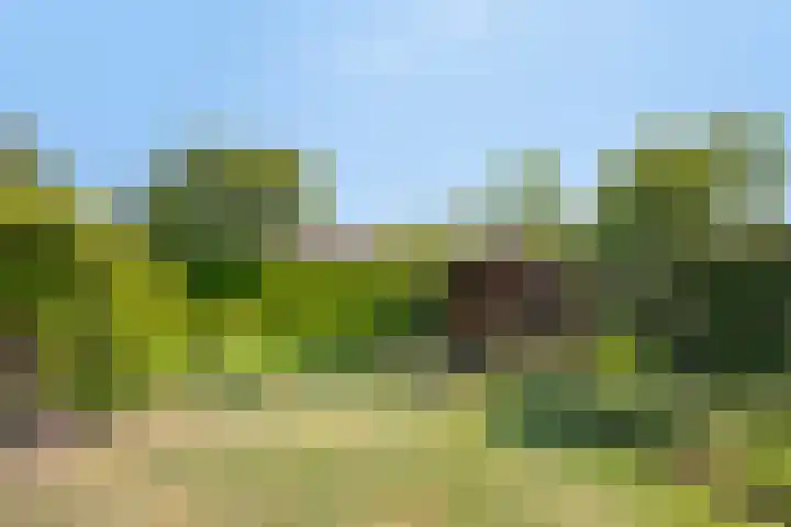 De Akkers 5 Ruinen thumbnail 25