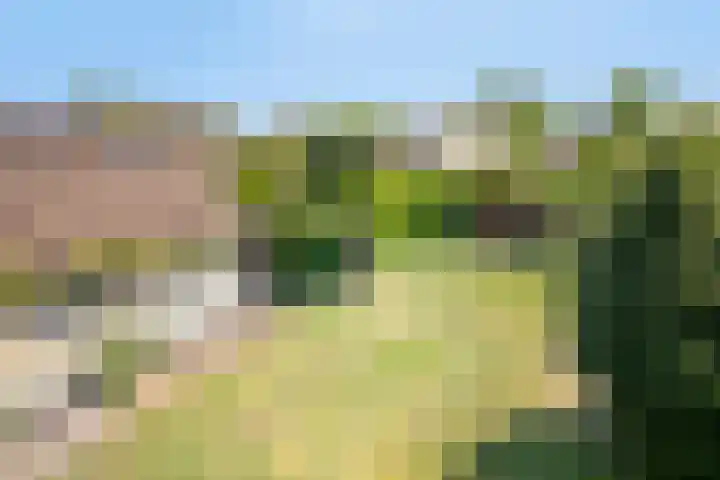 De Akkers 5 Ruinen thumbnail 26
