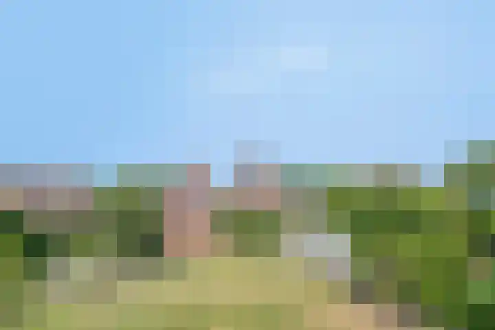 De Akkers 5 Ruinen thumbnail 27