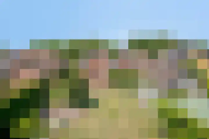 De Akkers 5 Ruinen foto 3
