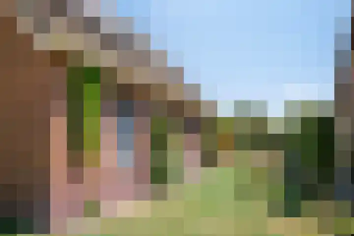 De Akkers 5 Ruinen thumbnail 30