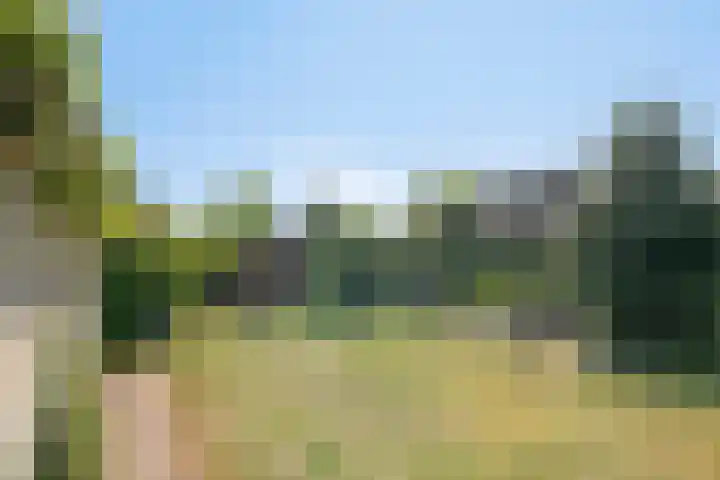 De Akkers 5 Ruinen thumbnail 31