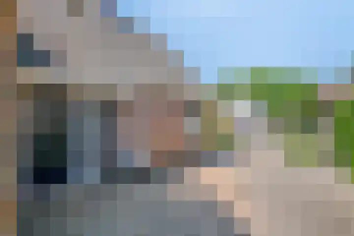 De Akkers 5 Ruinen thumbnail 33