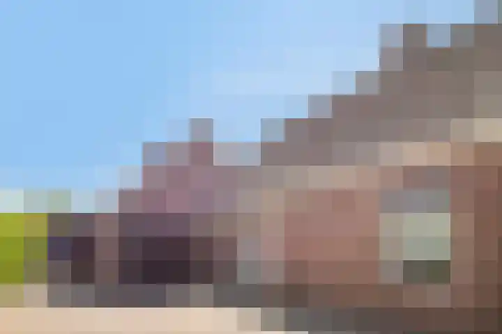 De Akkers 5 Ruinen thumbnail 34