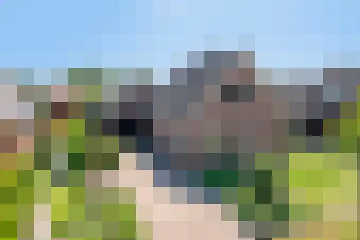 De Akkers 5 Ruinen thumbnail 36