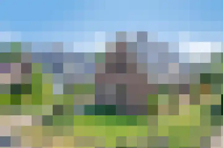 De Akkers 5 Ruinen thumbnail 37