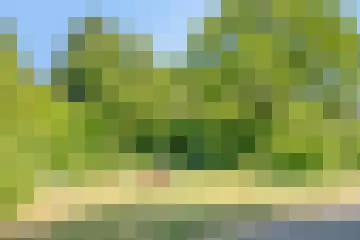 De Akkers 5 Ruinen thumbnail 38