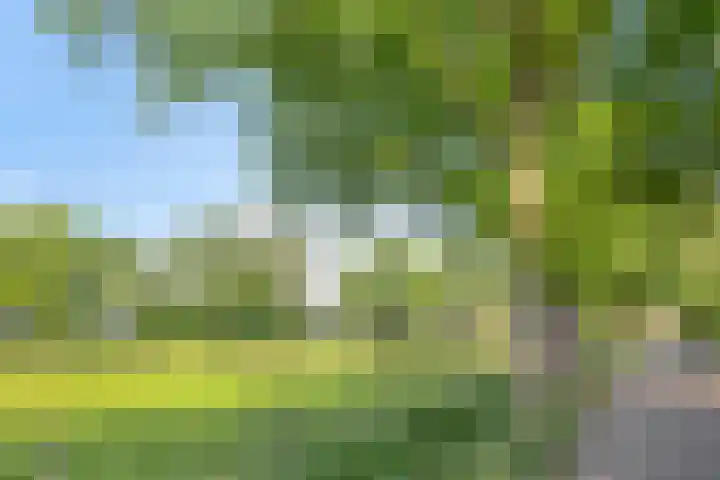 De Akkers 5 Ruinen thumbnail 39