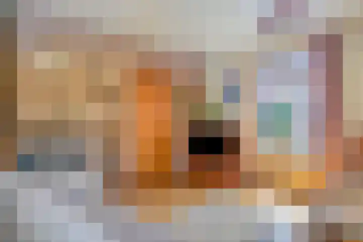 De Akkers 5 Ruinen thumbnail 4