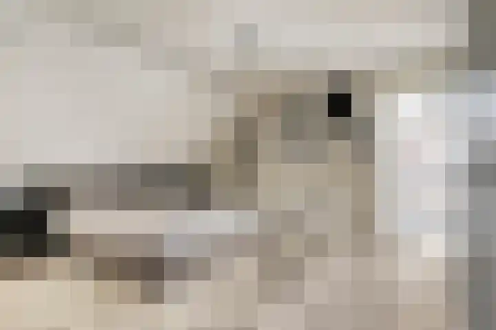 De Akkervrouw 1 Grubbenvorst thumbnail 22