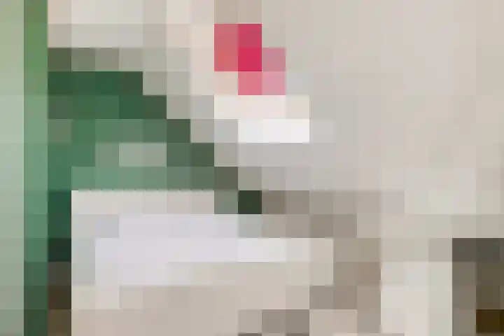 De Akkervrouw 1 Grubbenvorst thumbnail 25