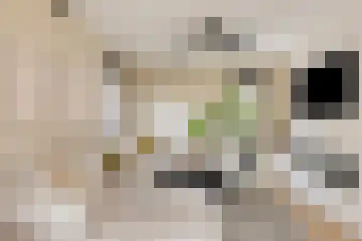 De Akkervrouw 1 Grubbenvorst thumbnail 7