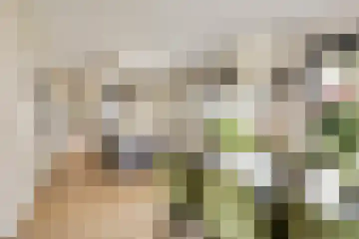 De Akkervrouw 1 Grubbenvorst thumbnail 9