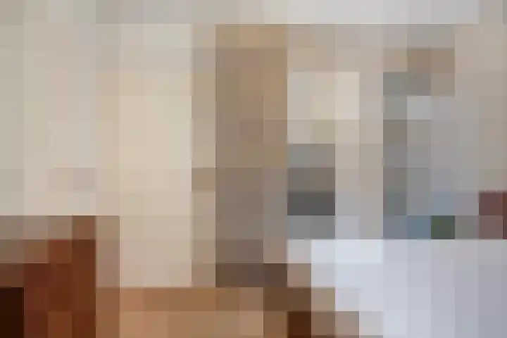 De Akkerwinde 40 Budel thumbnail 10