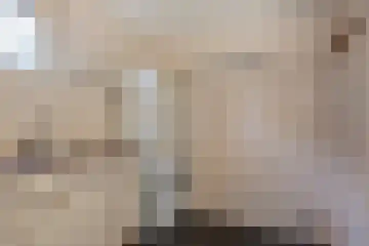 De Akkerwinde 40 Budel thumbnail 13