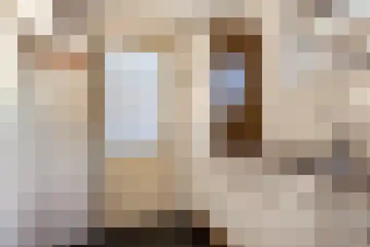 De Akkerwinde 40 Budel thumbnail 14